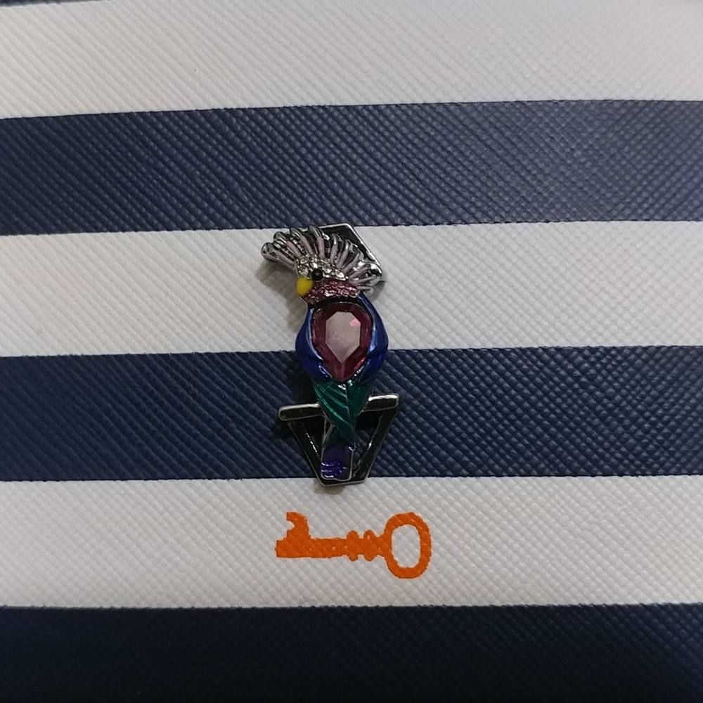 KEEP collective parrot